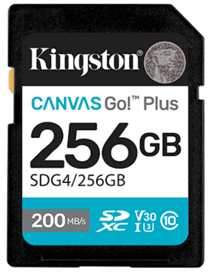 256GB SDXC CANVAS GO PLUS G4